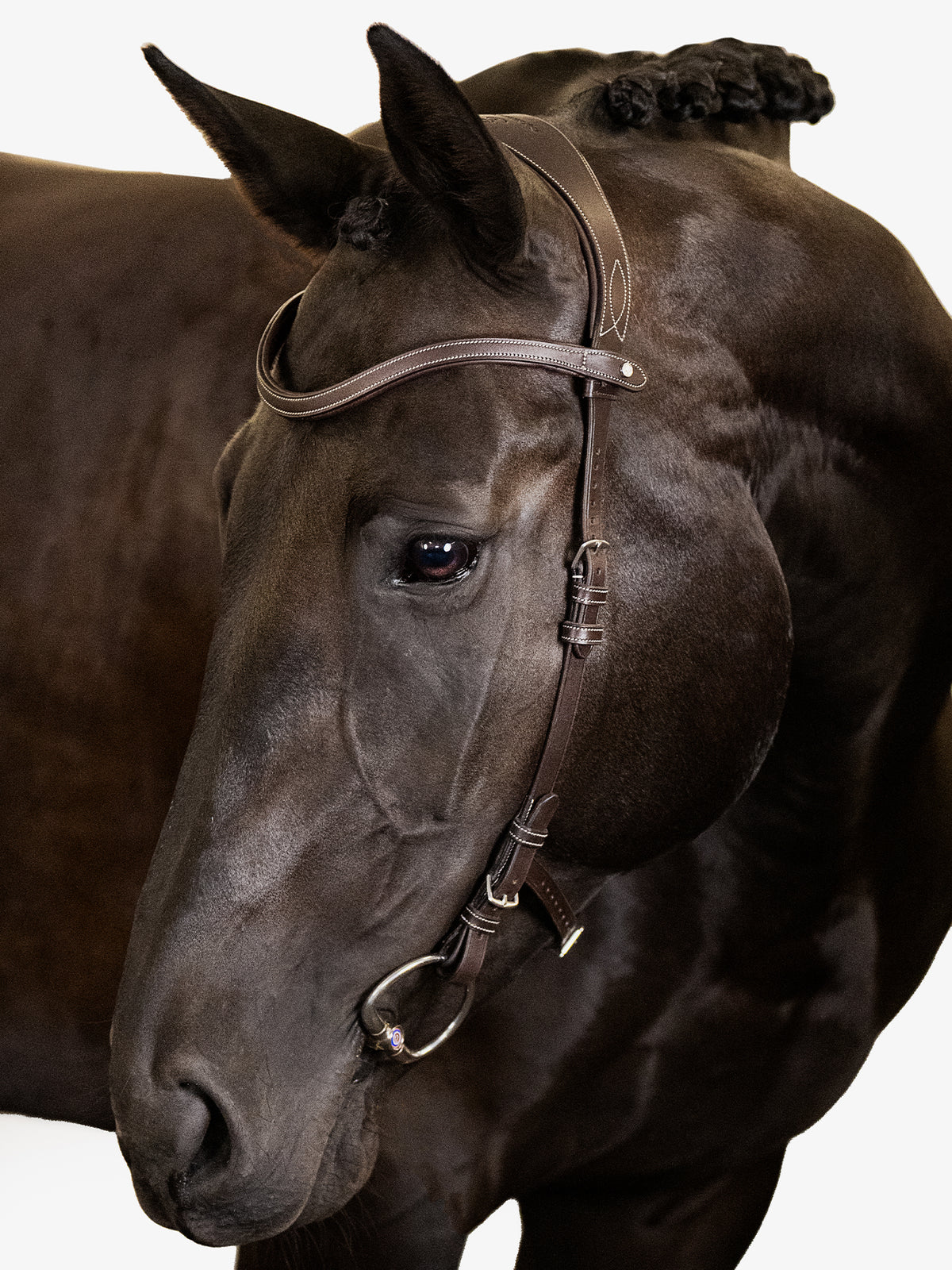Bridle Helsinki Brown Leather