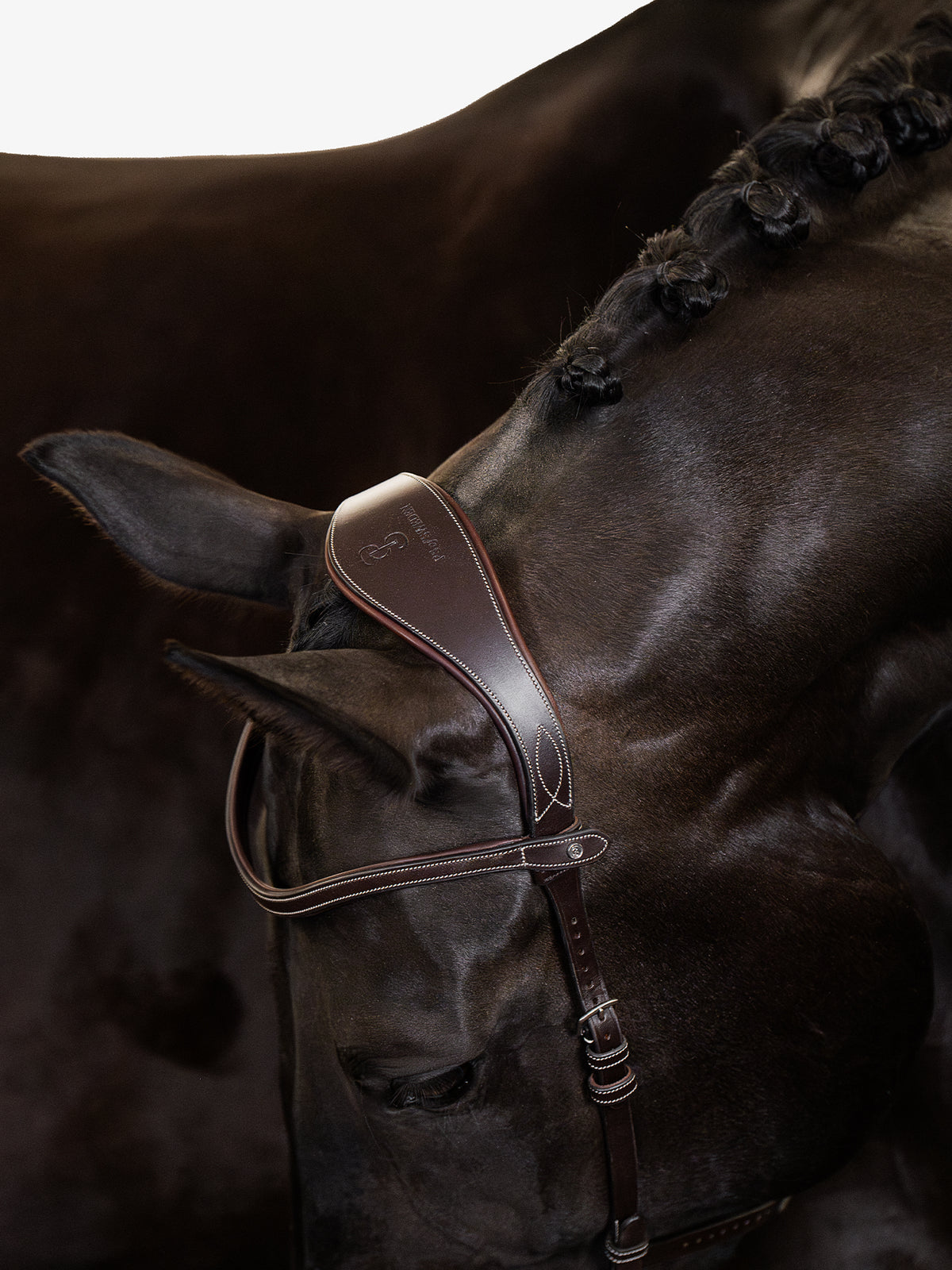 Bridle Helsinki Brown Leather