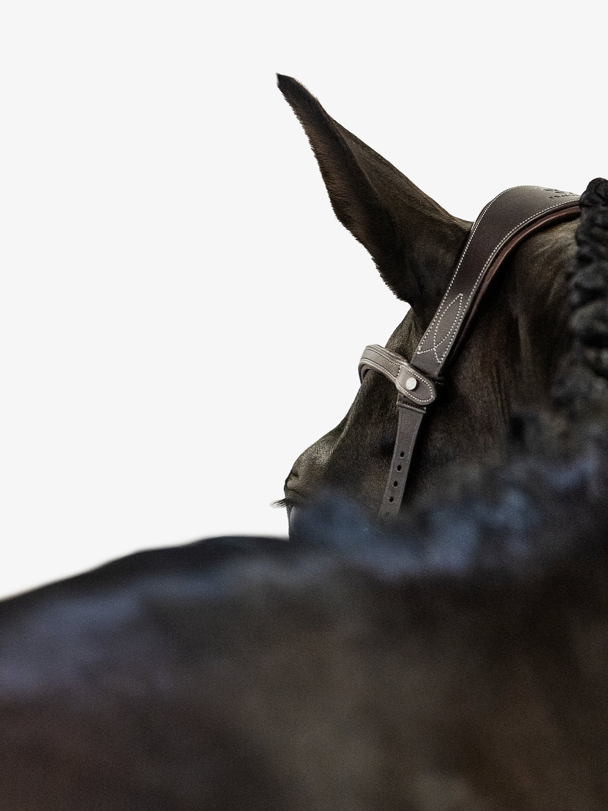 Bridle Helsinki Brown Leather