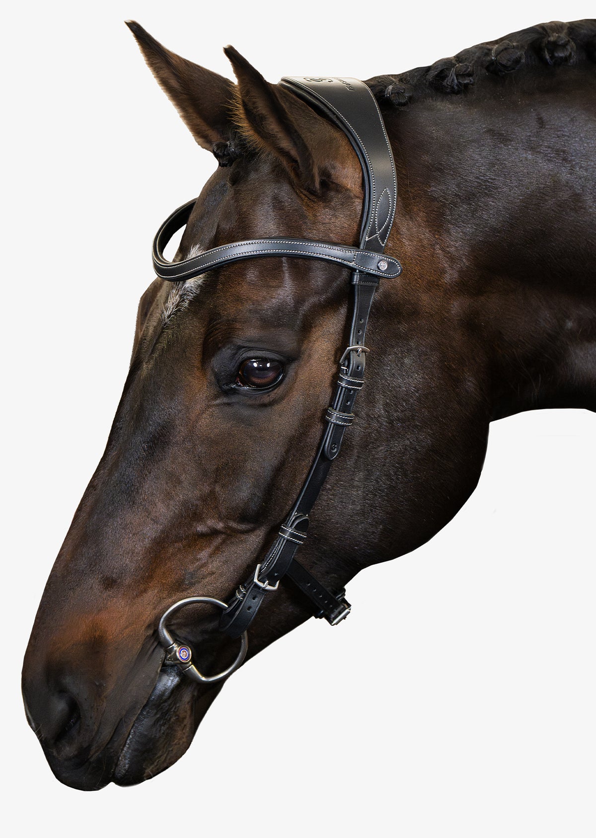 Bridle Helsinki Black Leather