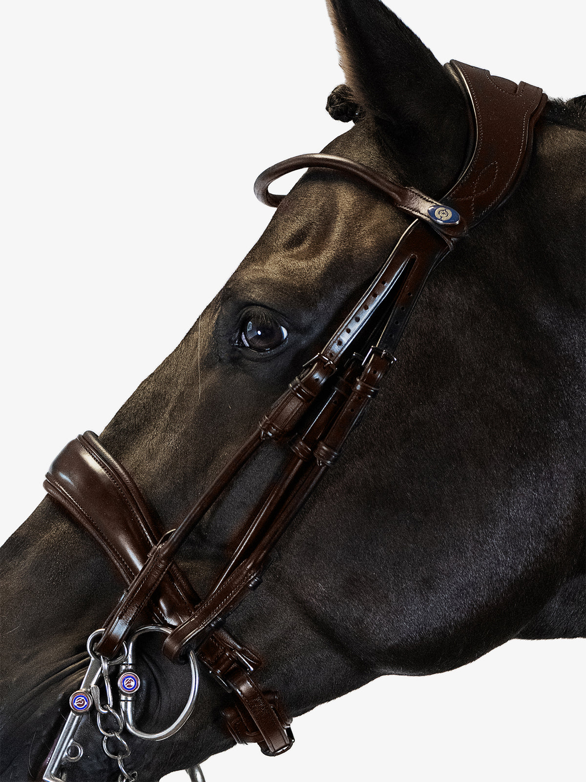 Double Bridle Passage - Brown Leather