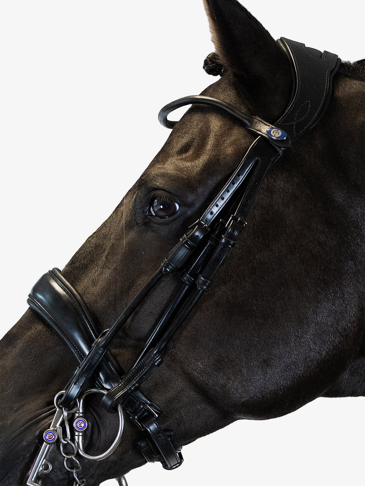 Double Bridle Passage Black Leather
