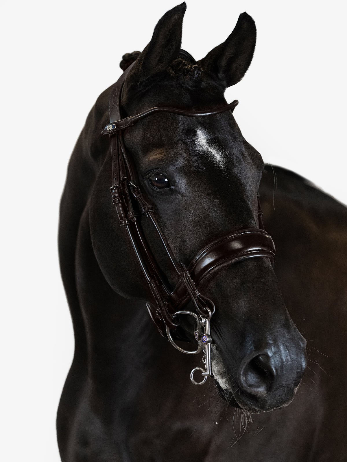 Double Bridle Passage - Brown Leather