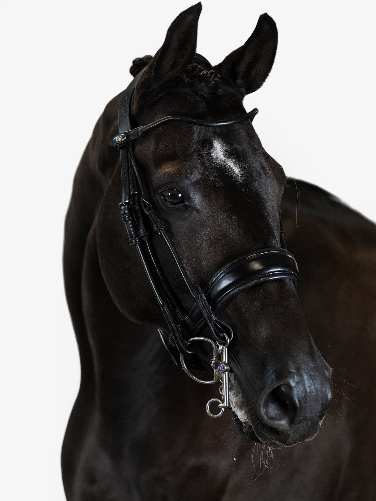 Double Bridle Passage Brown Leather