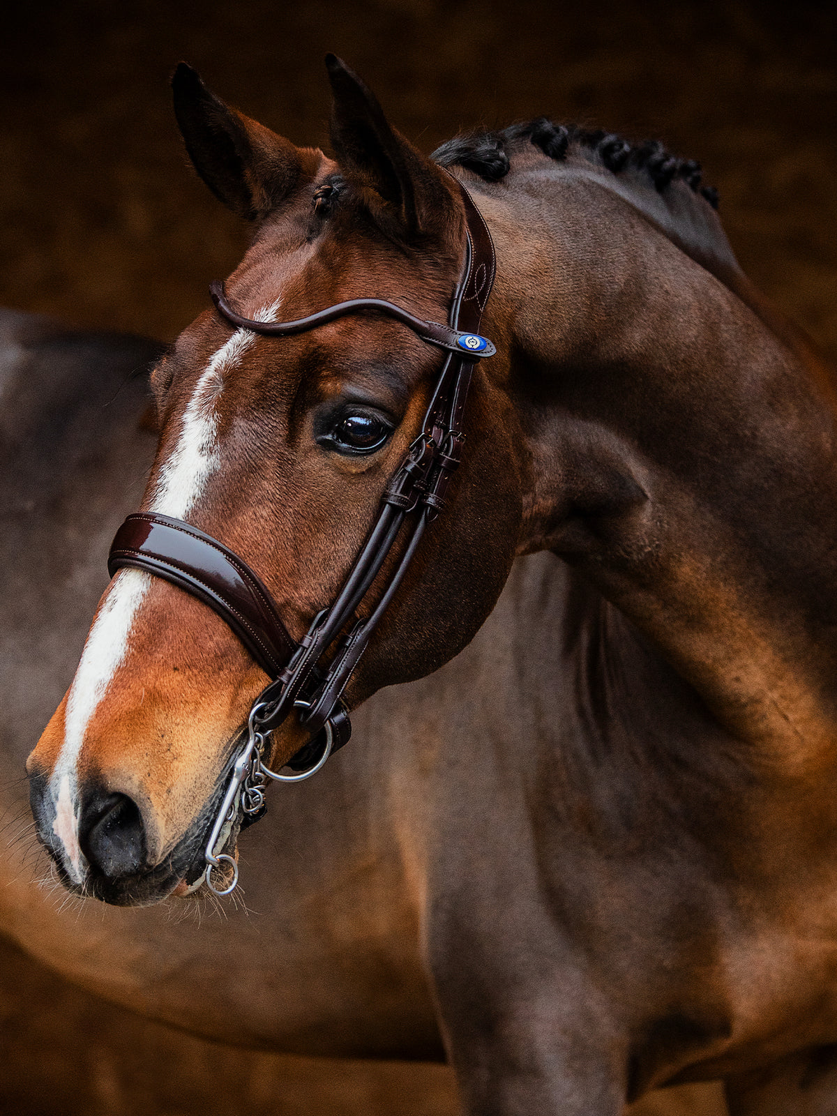 Double Bridle Passage Brown | Lacquer
