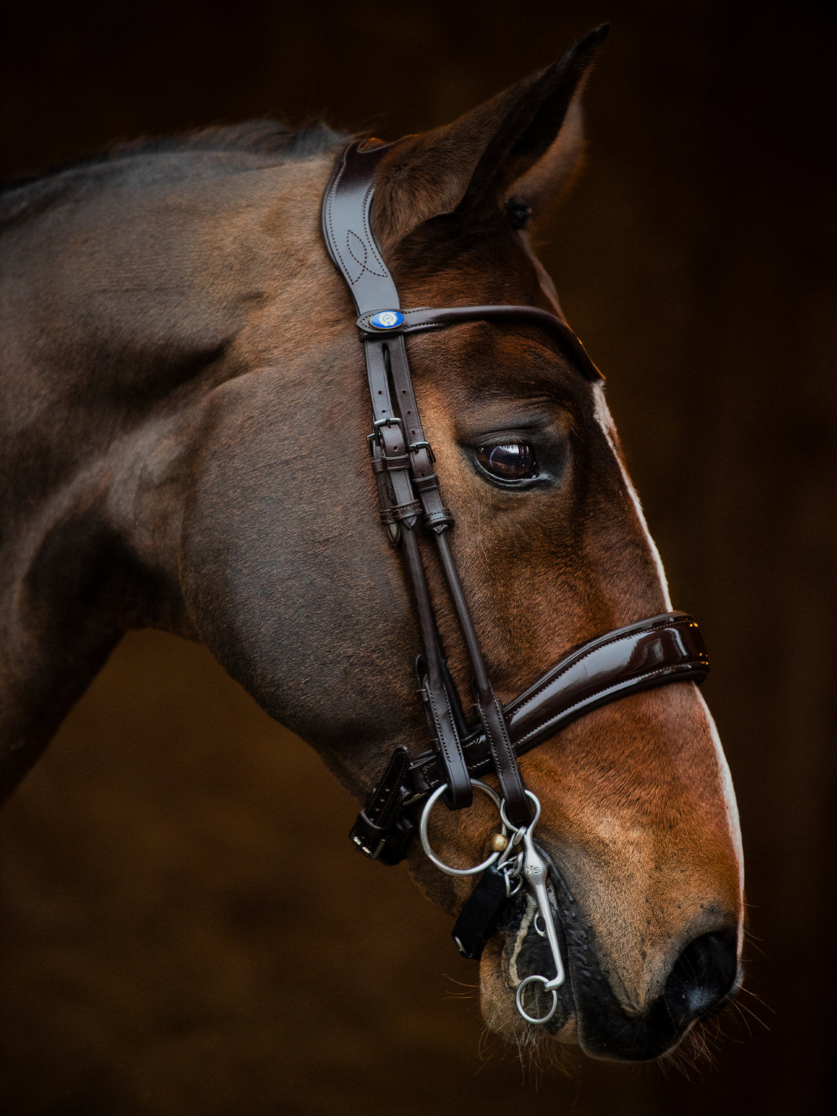 Double Bridle Passage Brown | Lacquer