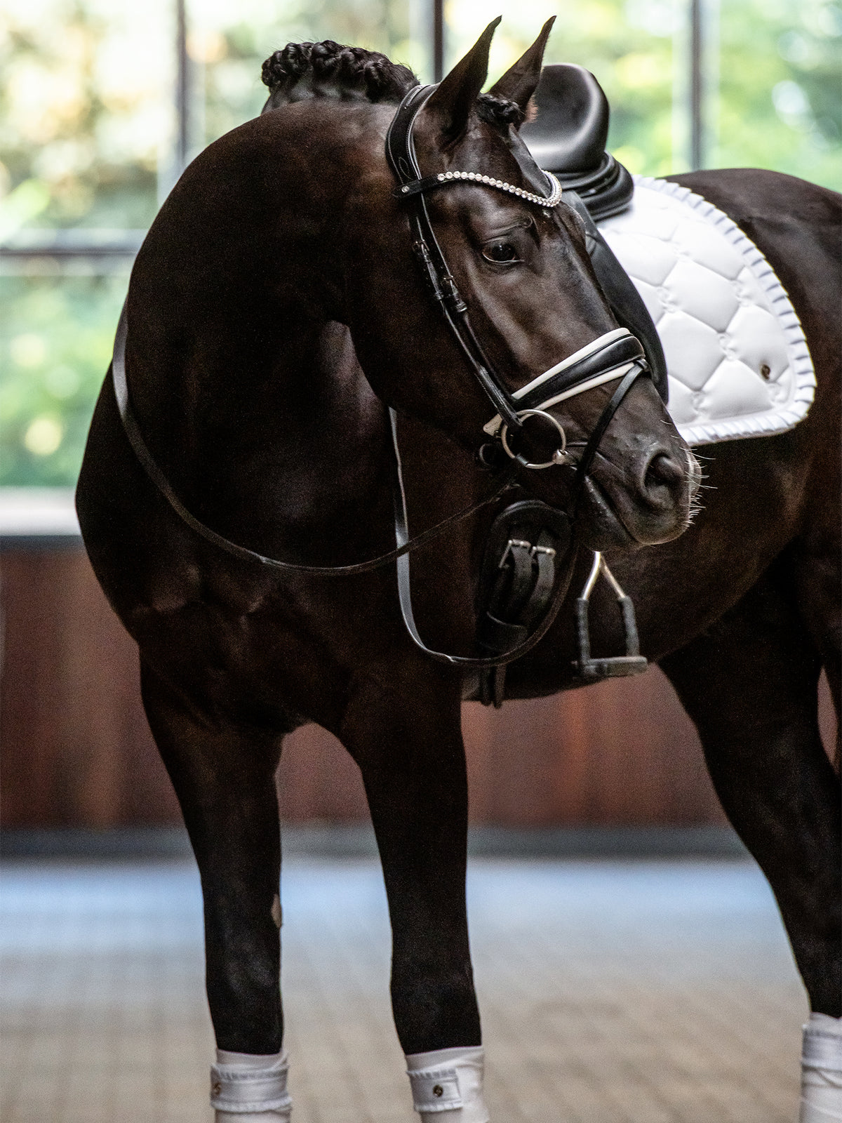 Saddle Pad Dressage Ruffle White