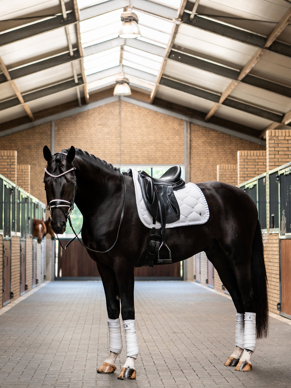 Saddle Pad Dressage Ruffle White