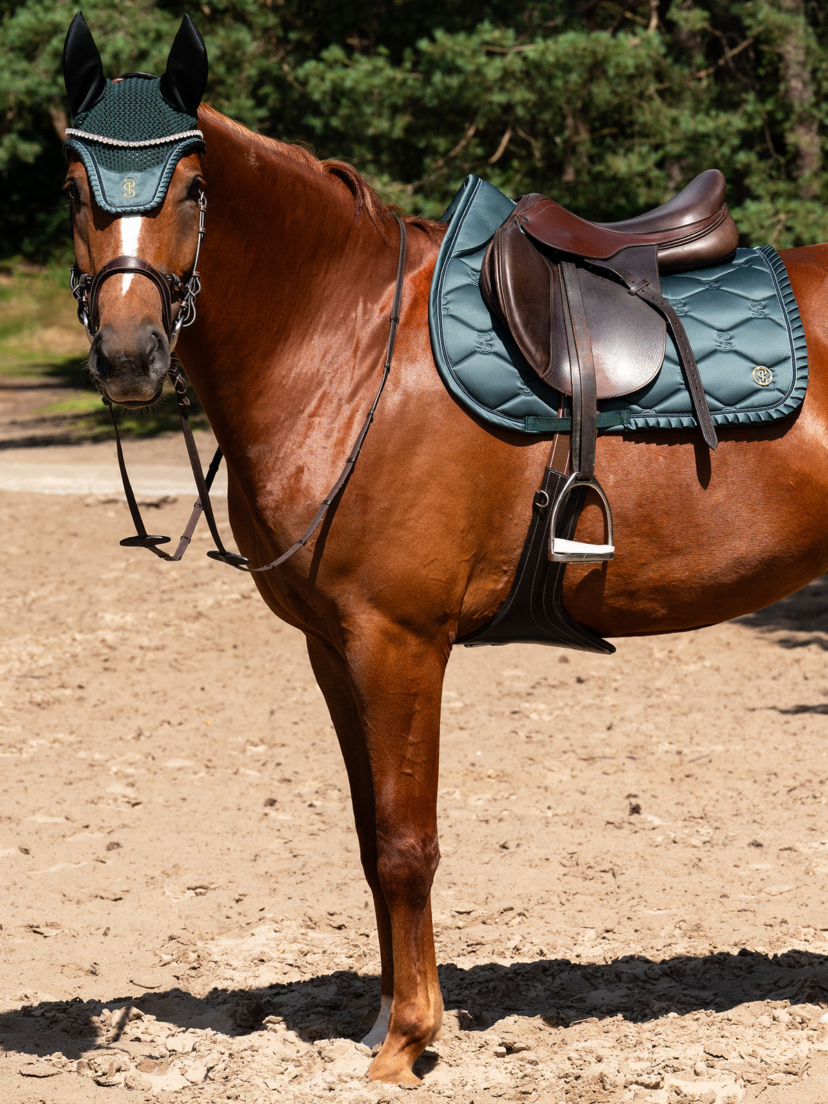 Saddle Pad Jump Ruffle Midnight green