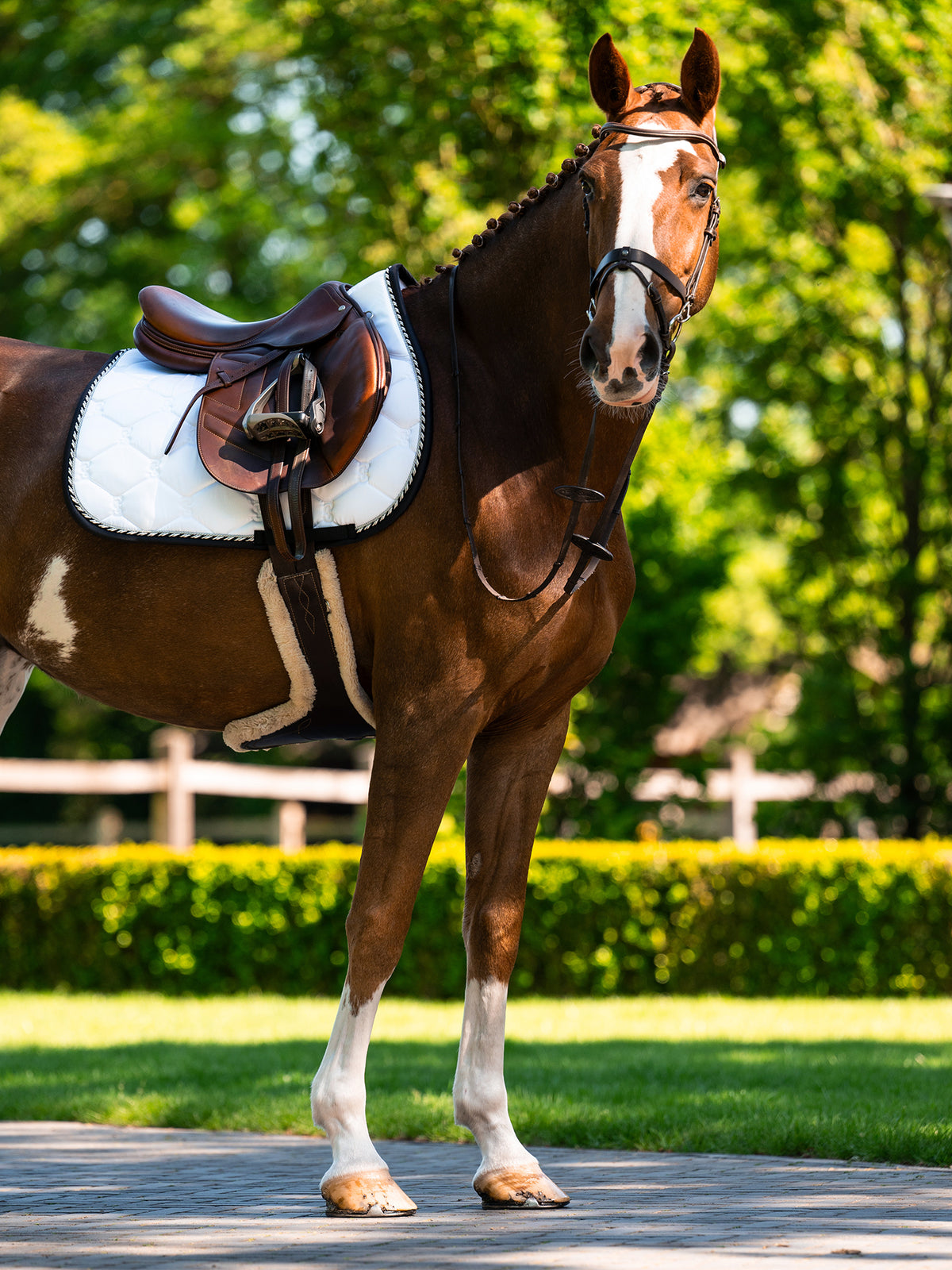 Saddle Pad Jump Signature - White | Black