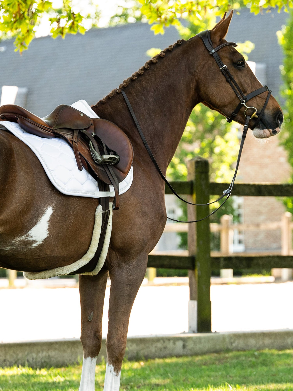 Saddle Pad Jump Signature White I White