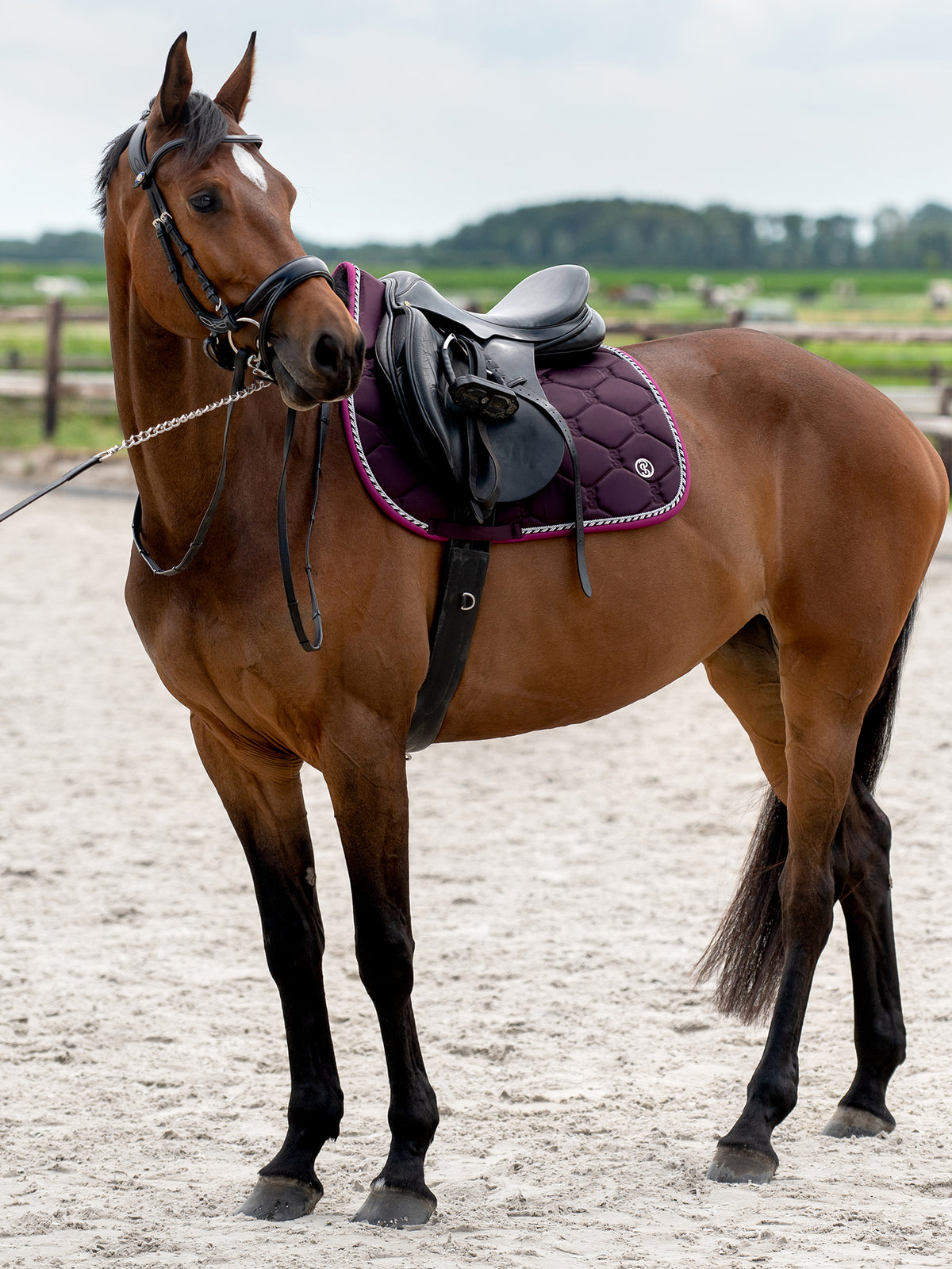 Saddle Pad Jump Signature Plum