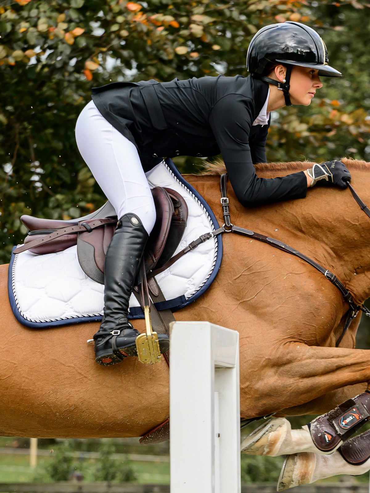 Saddle Pad Jump Signature - White