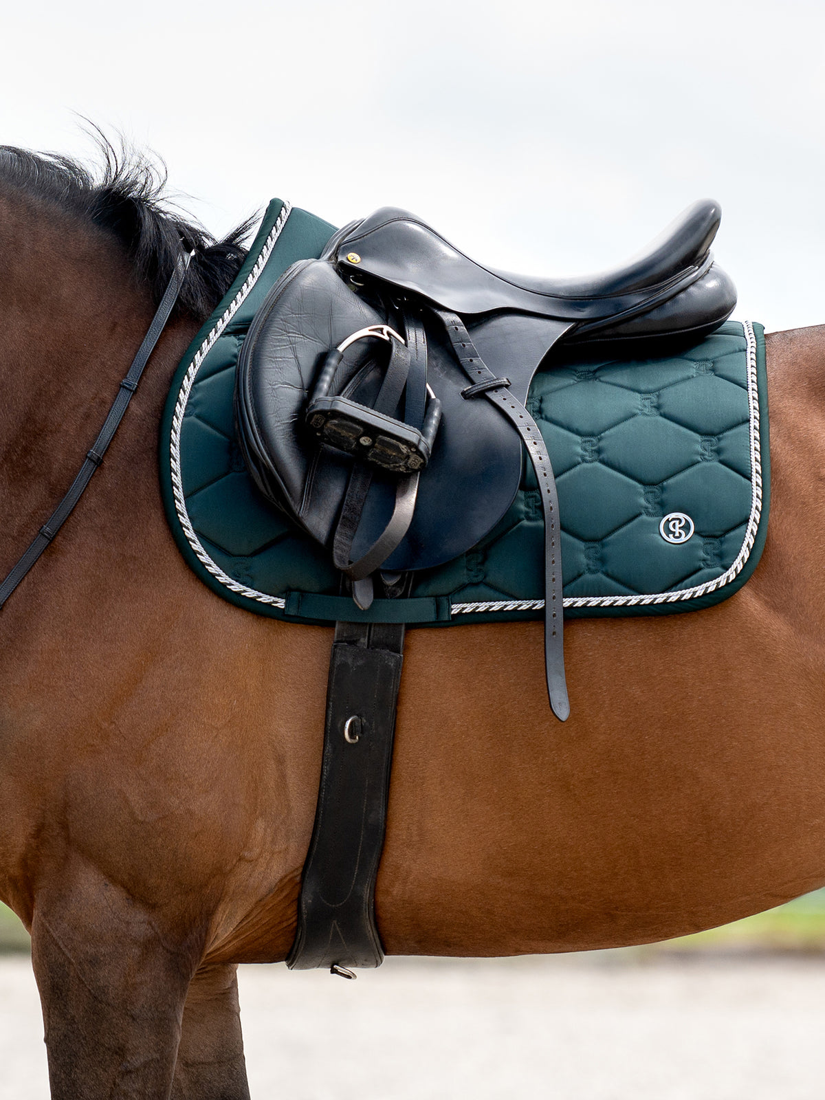 Saddle Pad Jump Signature Midnight green