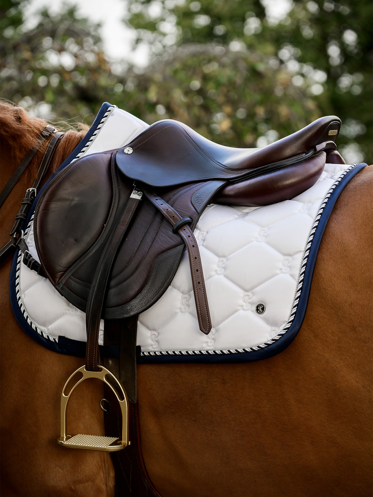 Saddle Pad Jump Signature White
