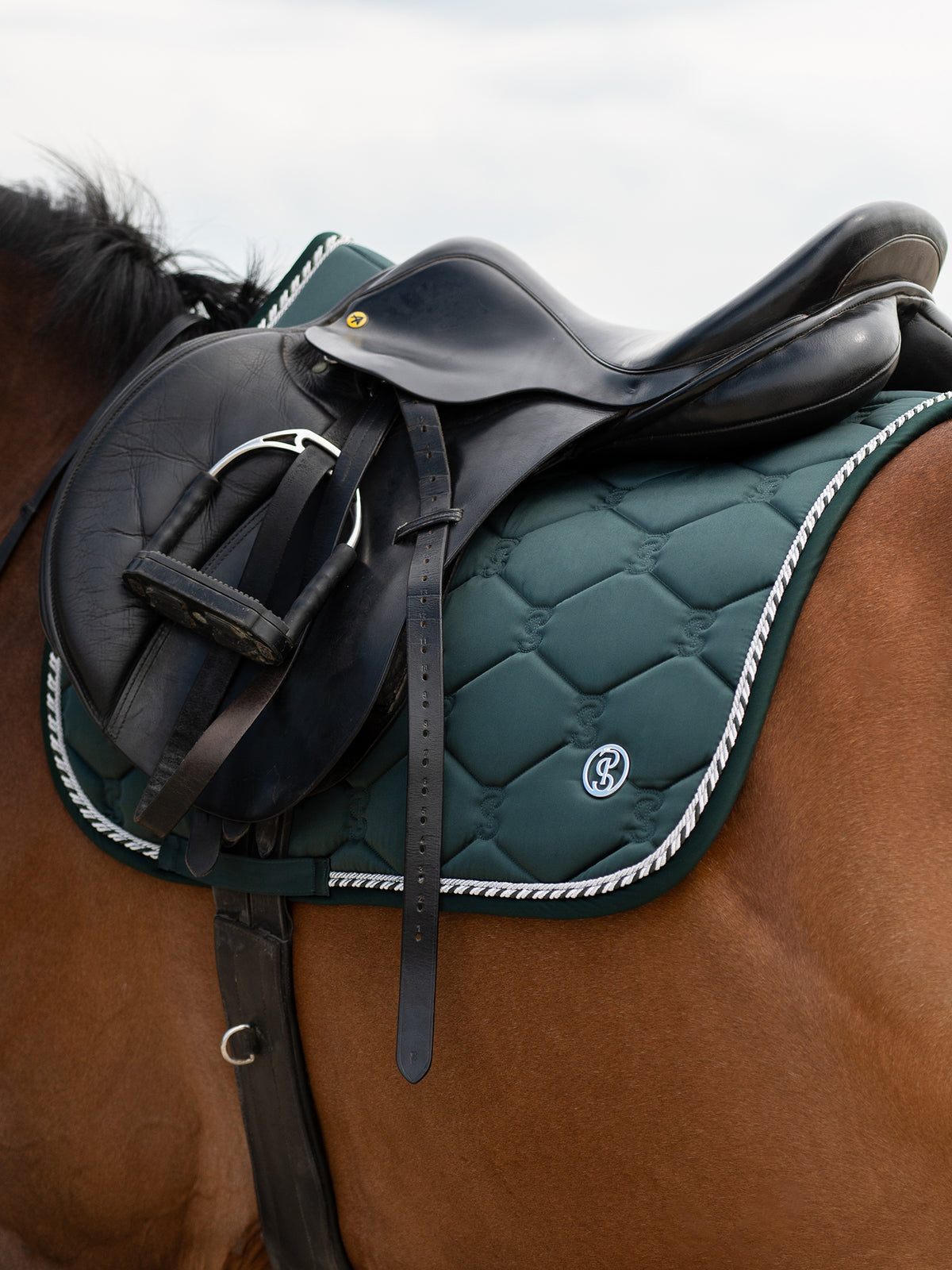 Saddle Pad Jump Signature Midnight green