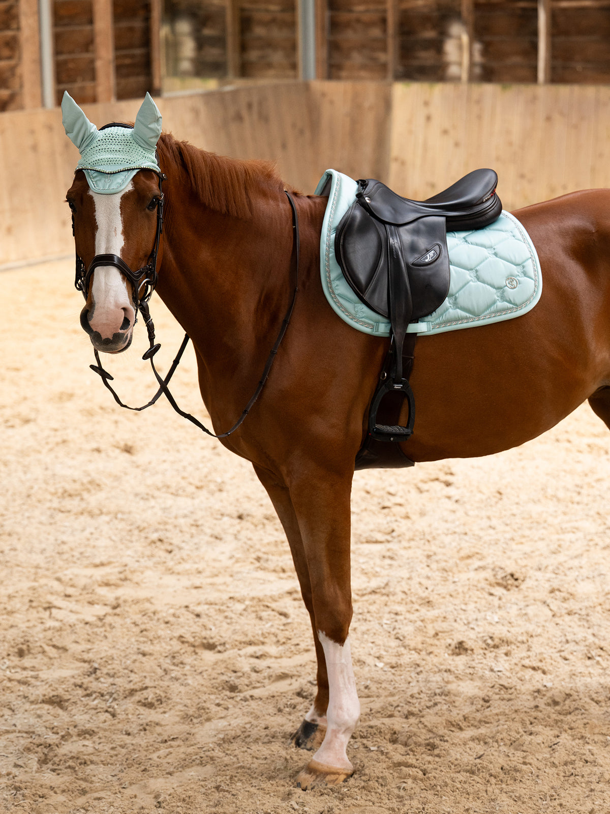 Saddle Pad Jump Signature Arctic Aqua