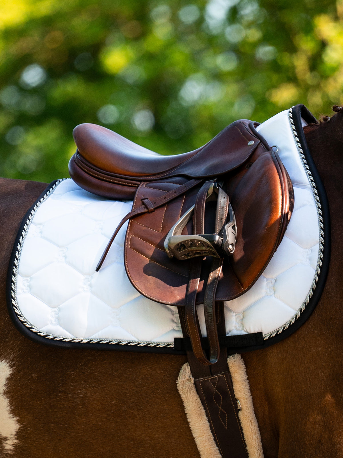 Saddle Pad Jump Signature - White | Black