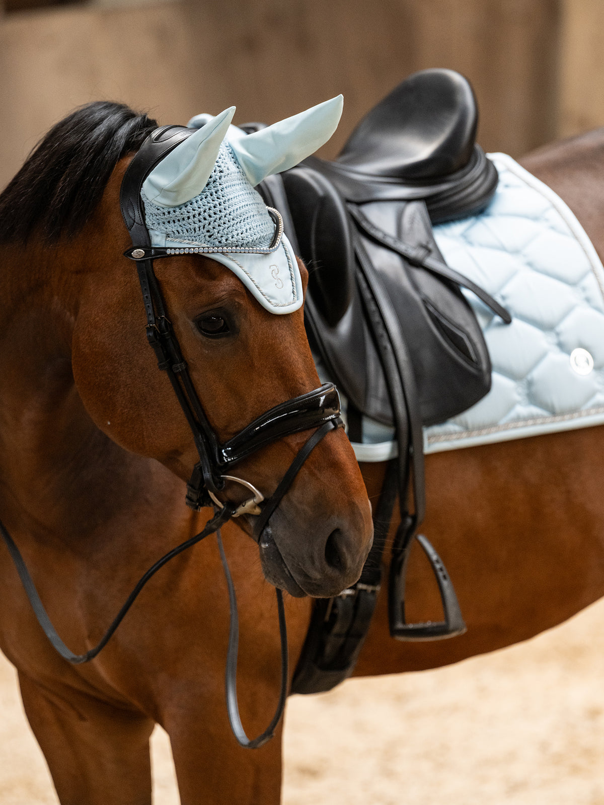 Saddle Pad Dressage Signature Morning Breeze