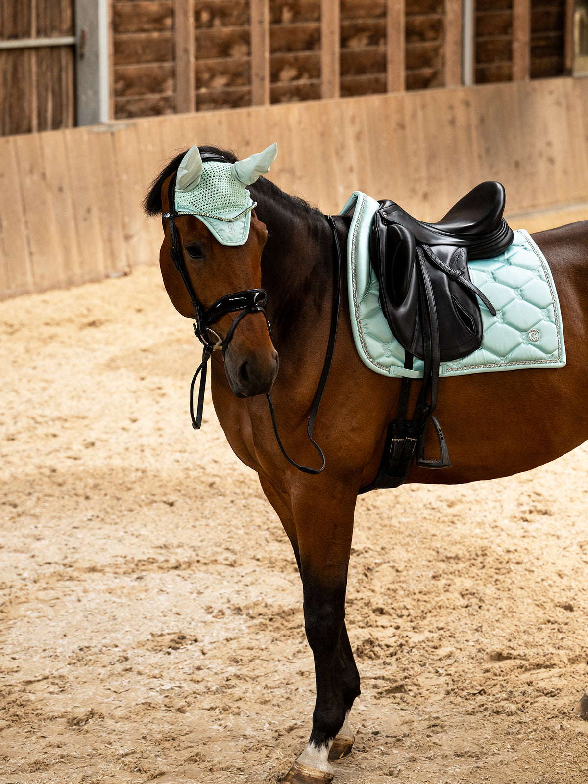 Saddle Pad Dressage Signature Arctic Aqua