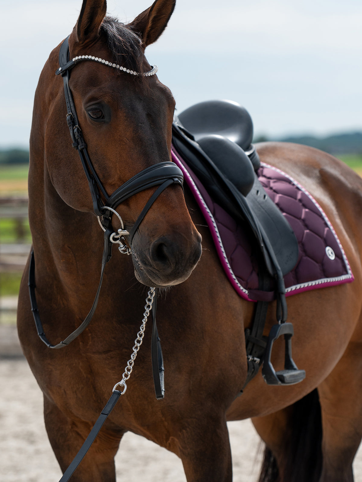 Saddle Pad Dressage Signature Plum