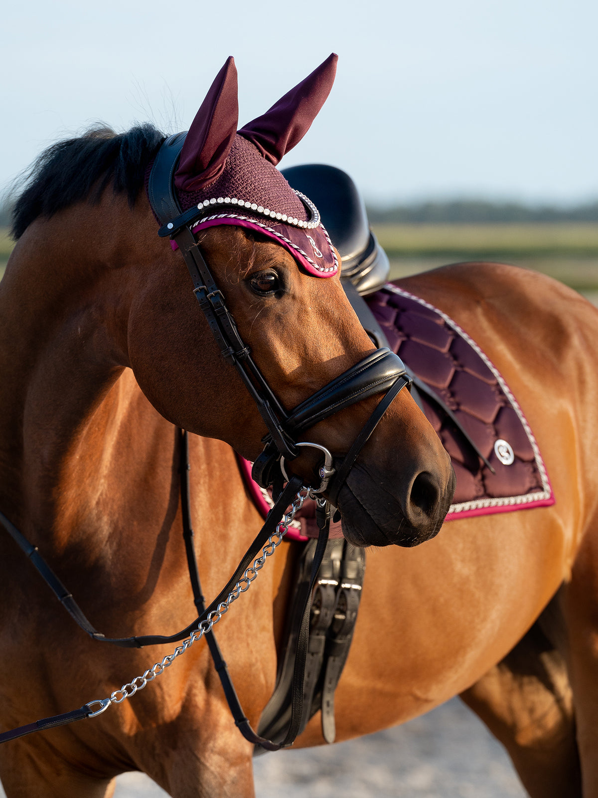 Saddle Pad Dressage Signature Plum