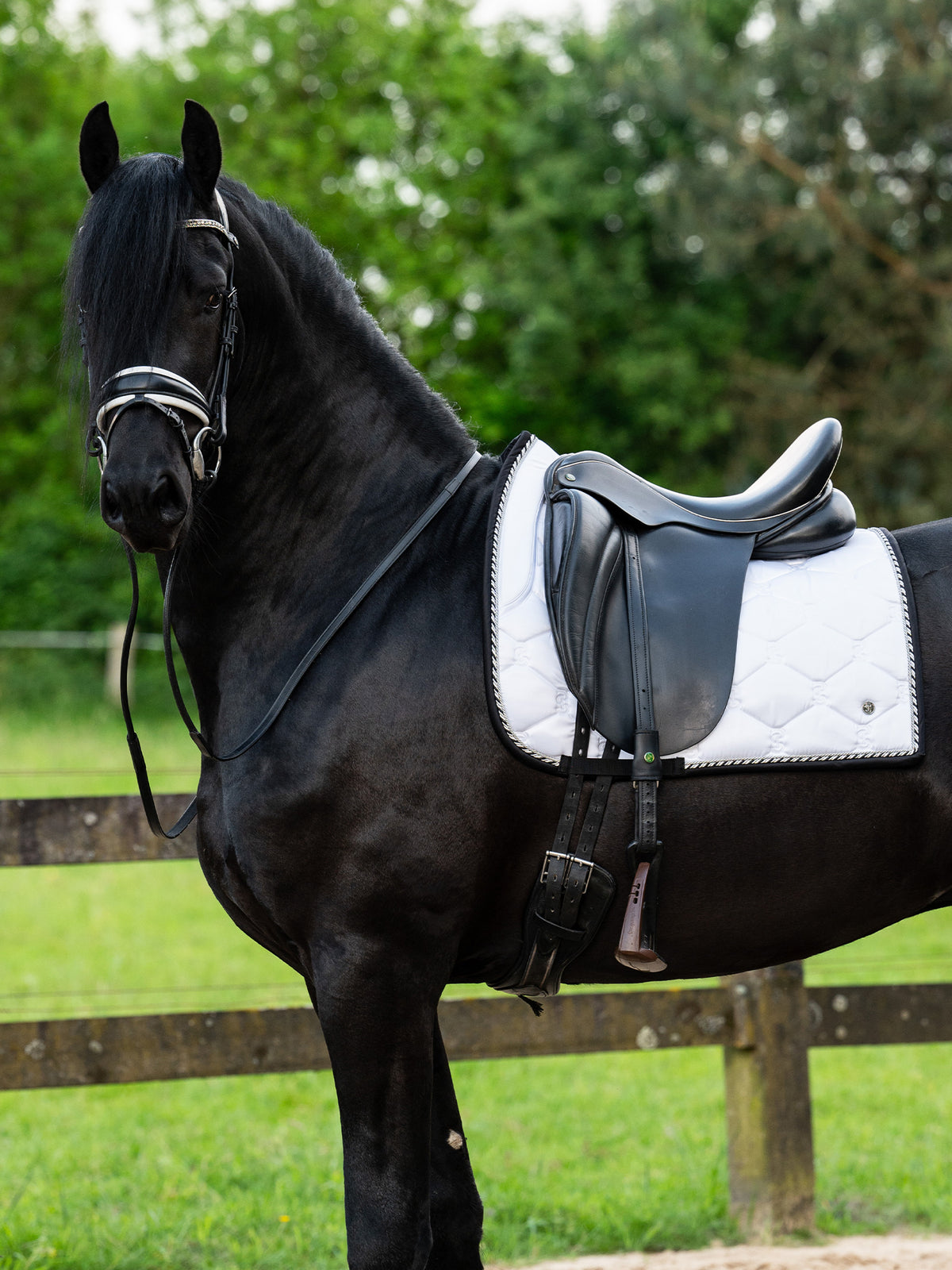 Saddle Pad Dressage Signature White | Black