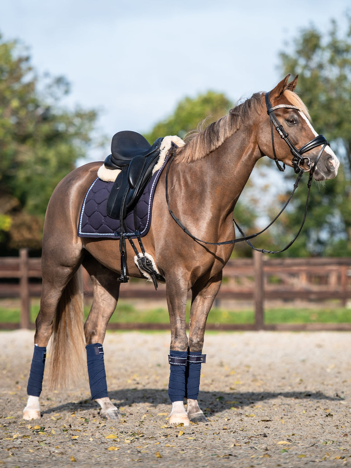 Saddle Pad Dressage Signature Navy