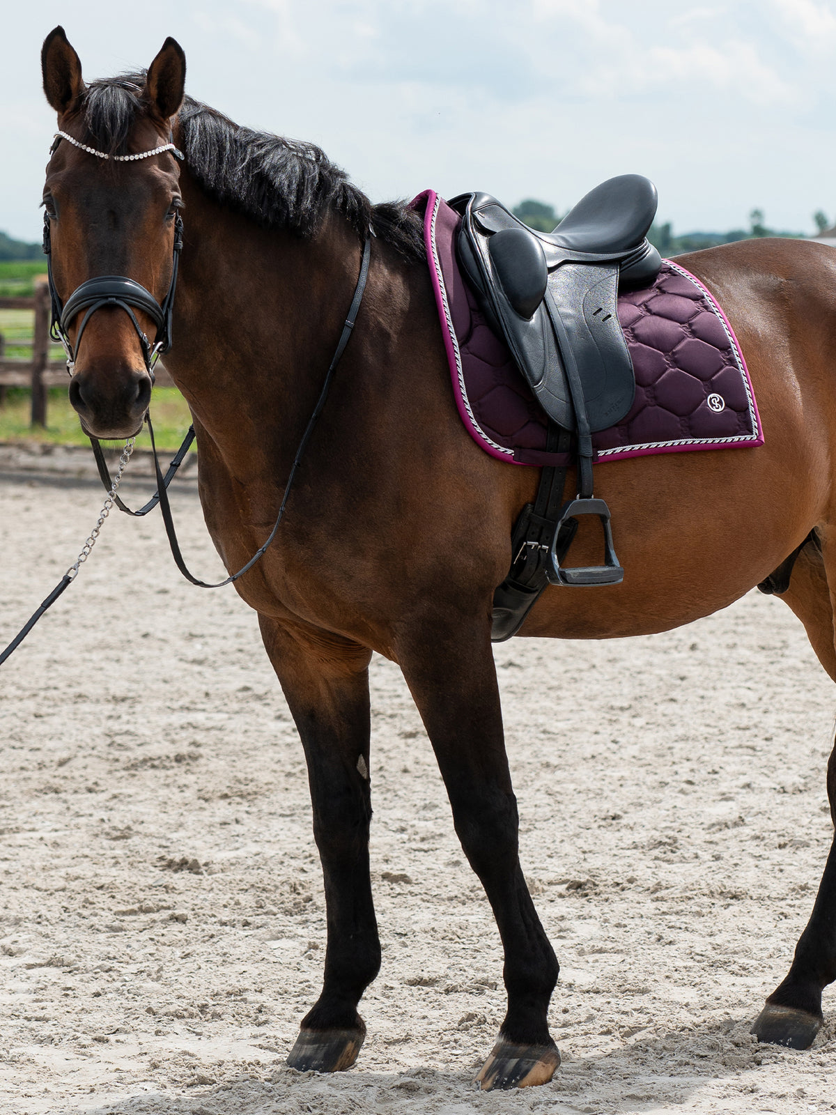 Saddle Pad Dressage Signature Plum