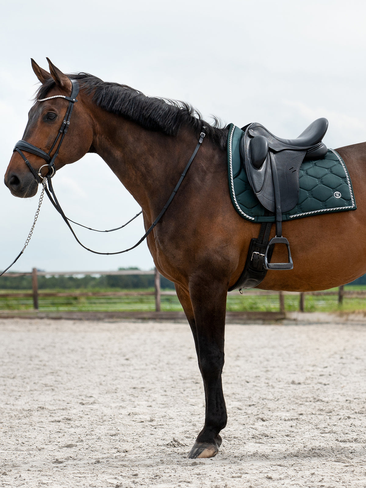 Saddle Pad Dressage Signature Midnight green