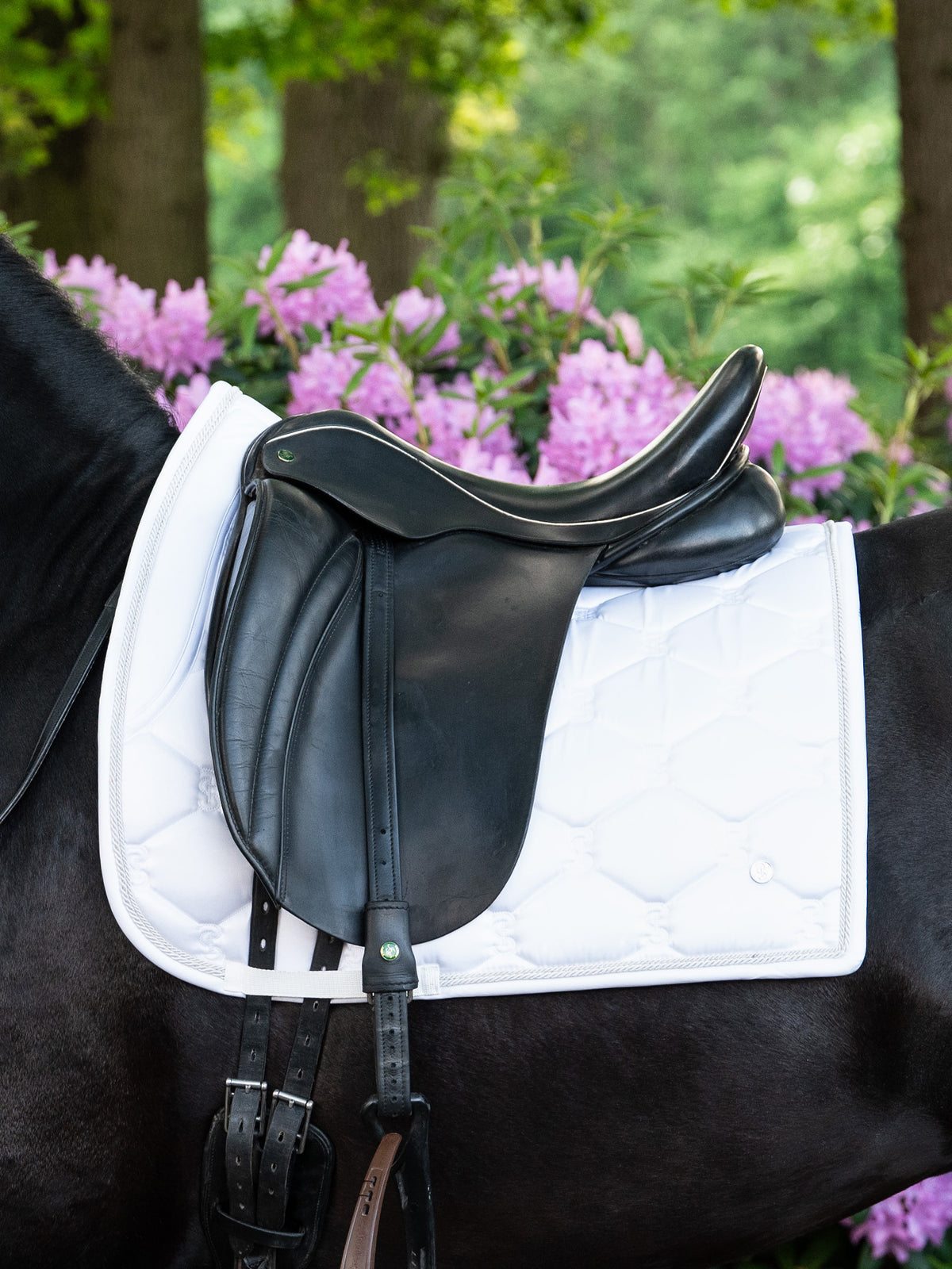 Saddle Pad Dressage Signature - White I White
