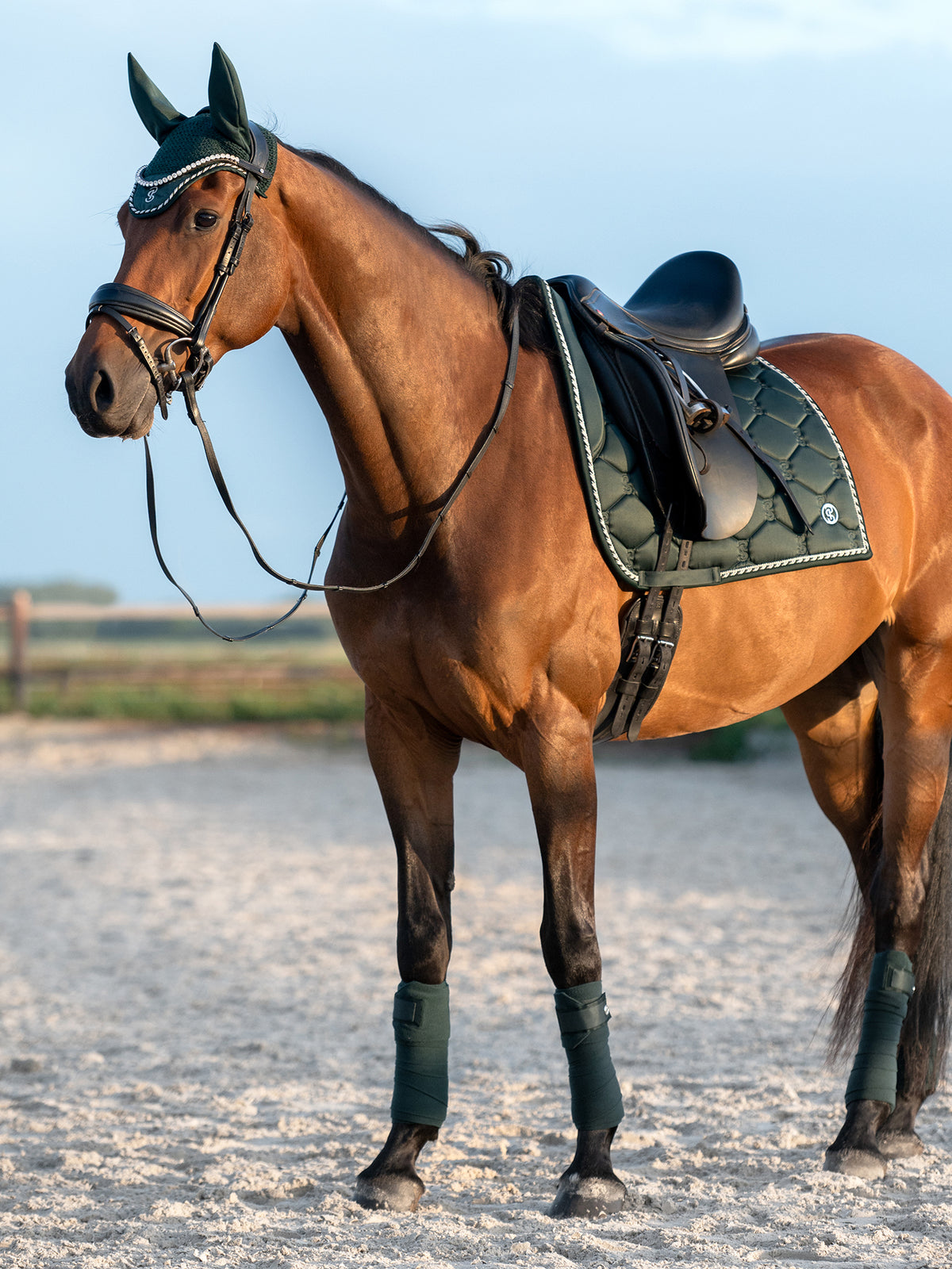 Saddle Pad Dressage Signature Midnight green