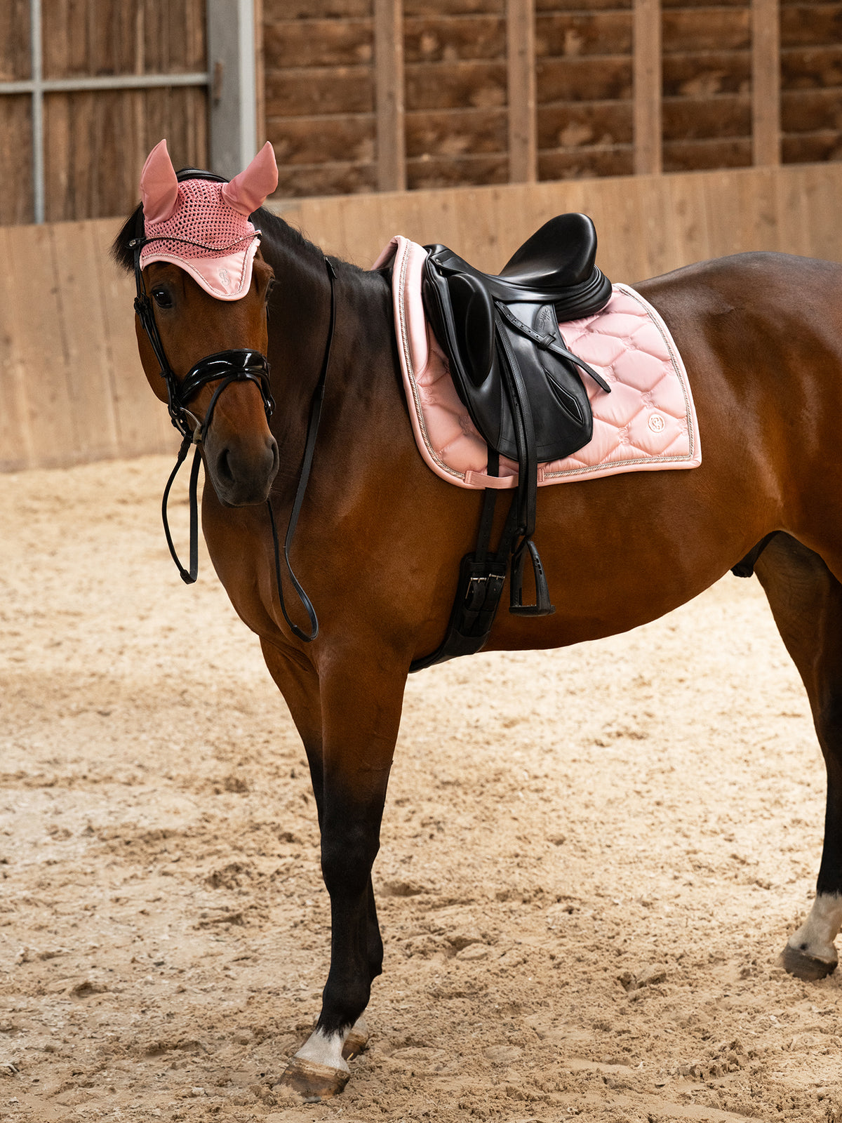 Saddle Pad Dressage Signature Hortensia pink