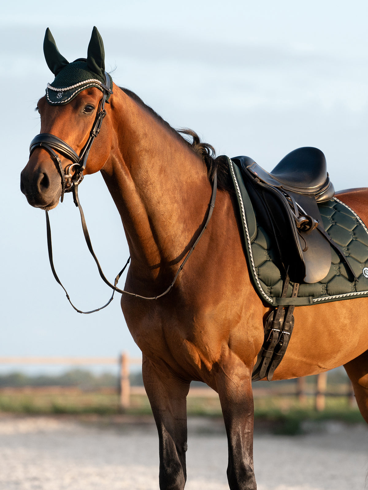 Saddle Pad Dressage Signature Midnight green