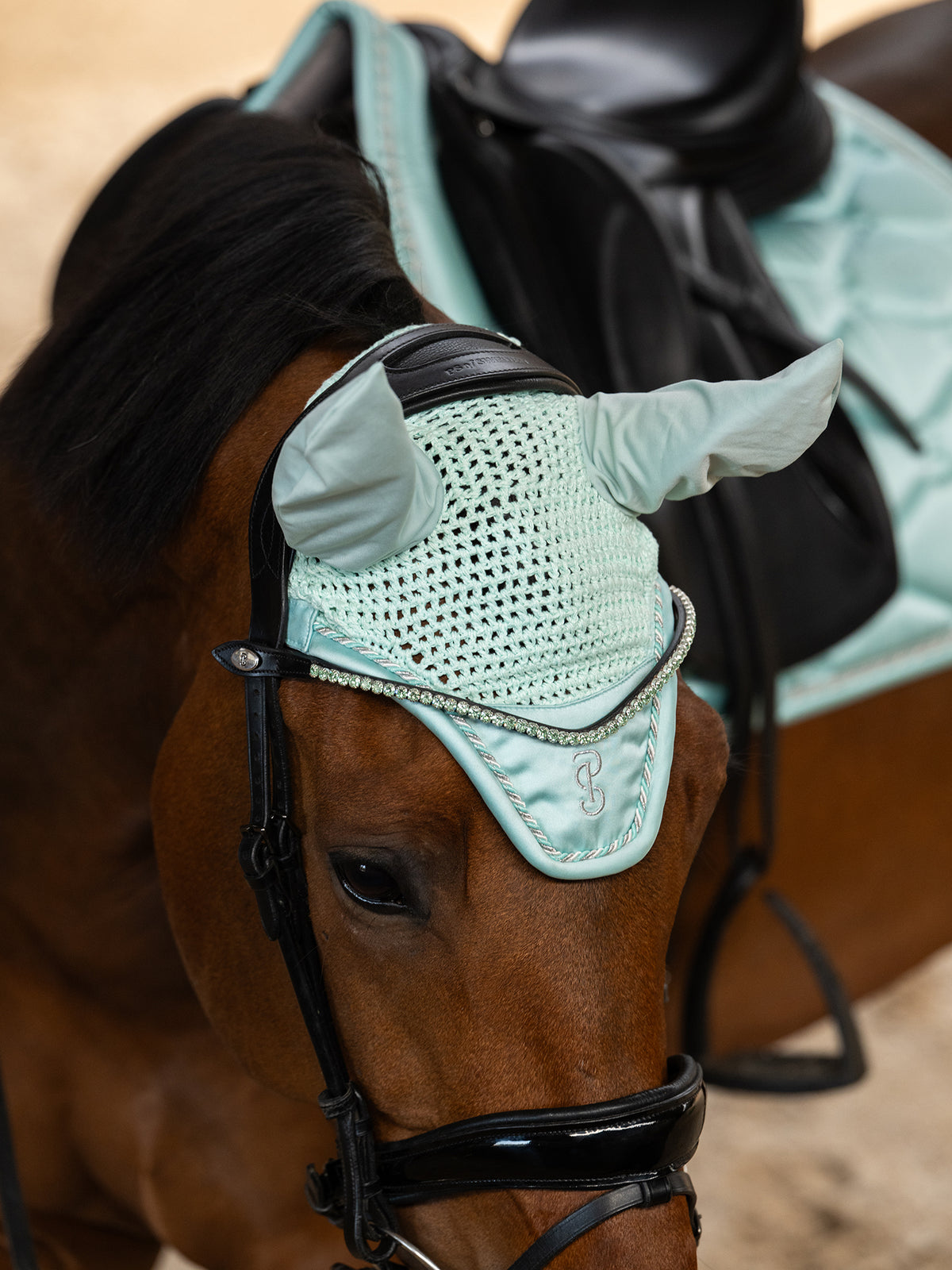 Ear Bonnet Signature Arctic Aqua