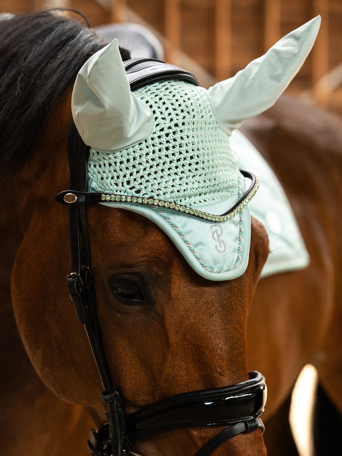 Ear Bonnet Signature Arctic Aqua