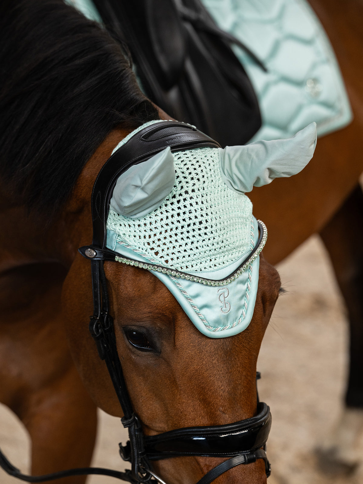 Ear Bonnet Signature Arctic Aqua