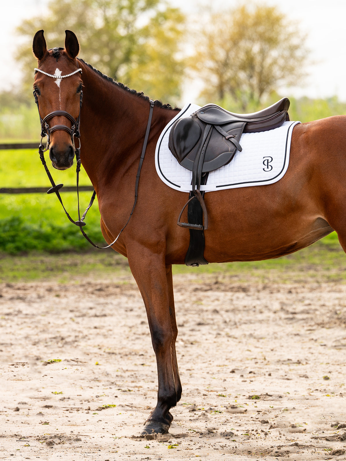 Saddle Pad Jump Elite White