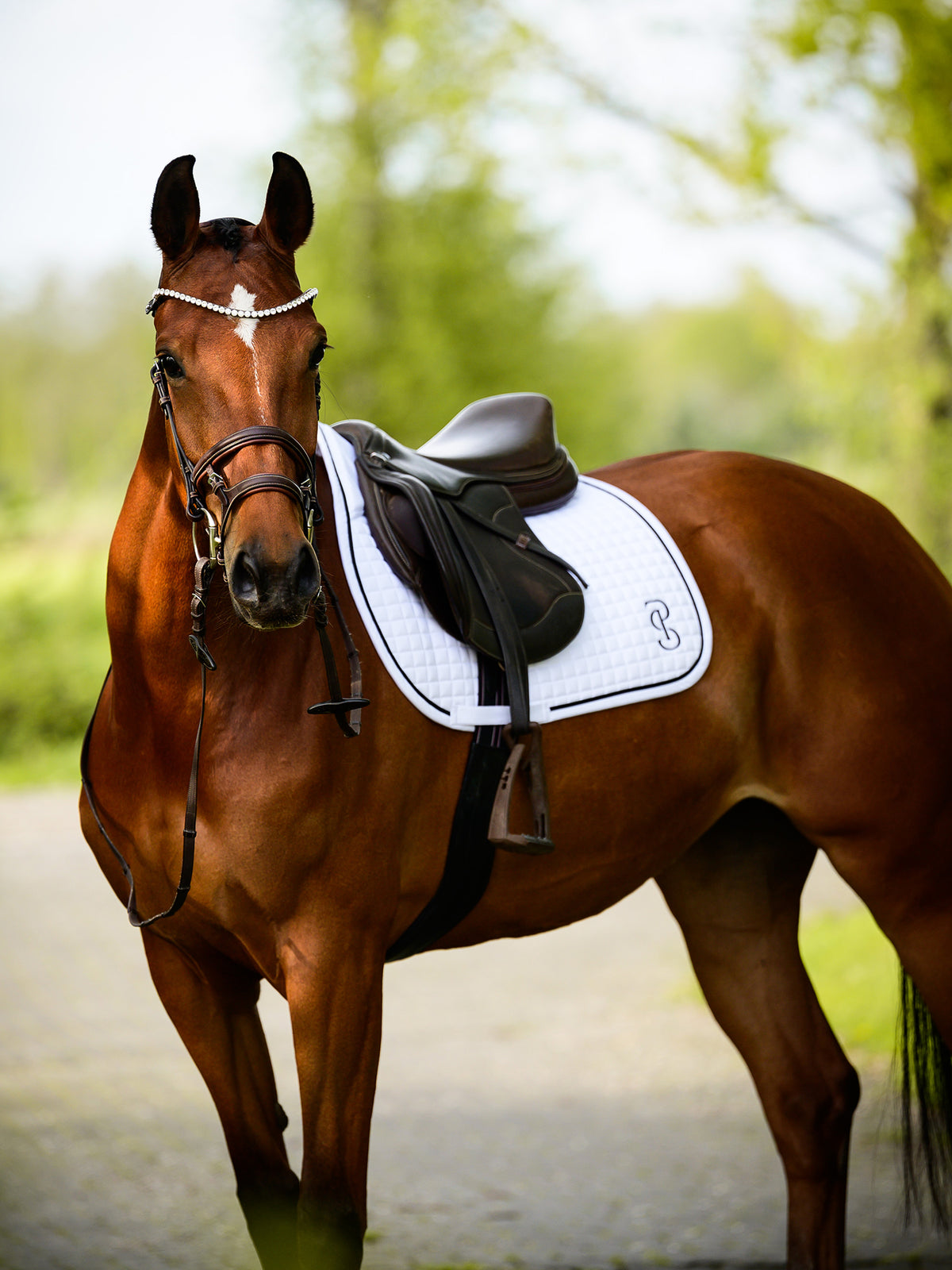 Saddle Pad Jump Elite White