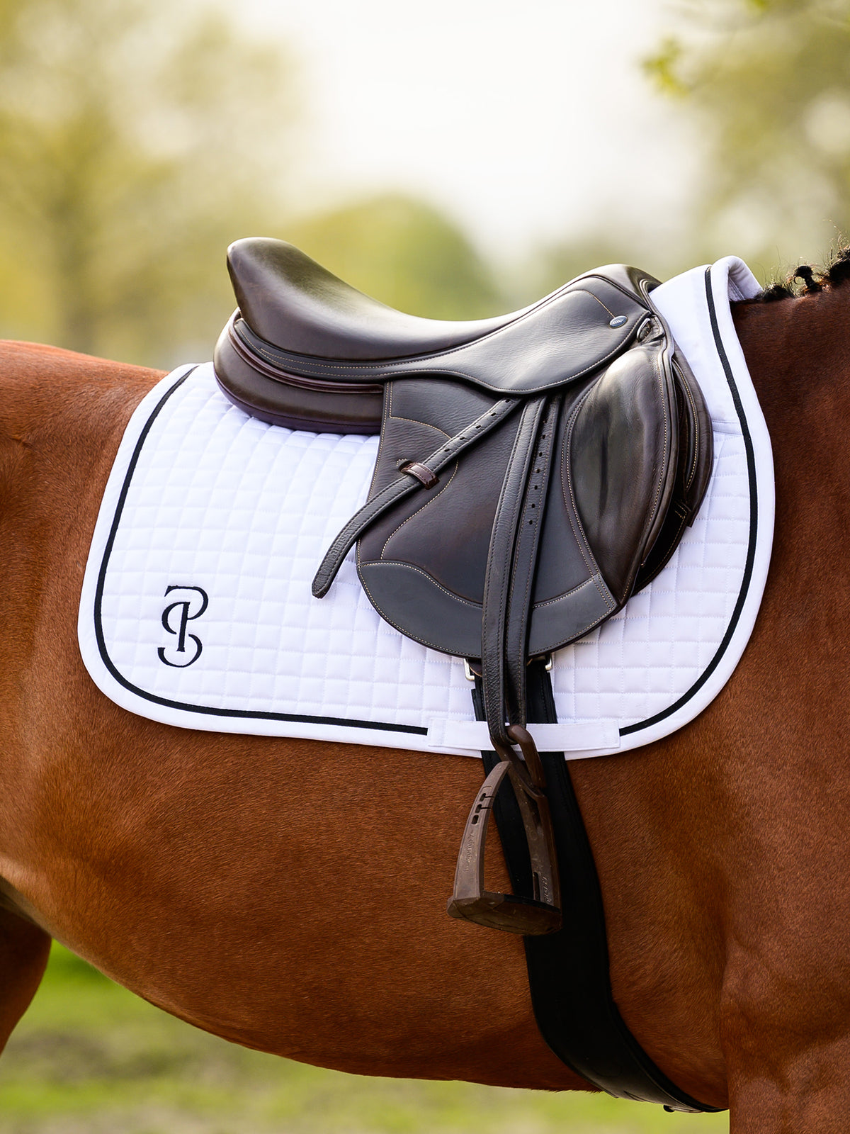 Saddle Pad Jump Elite - White