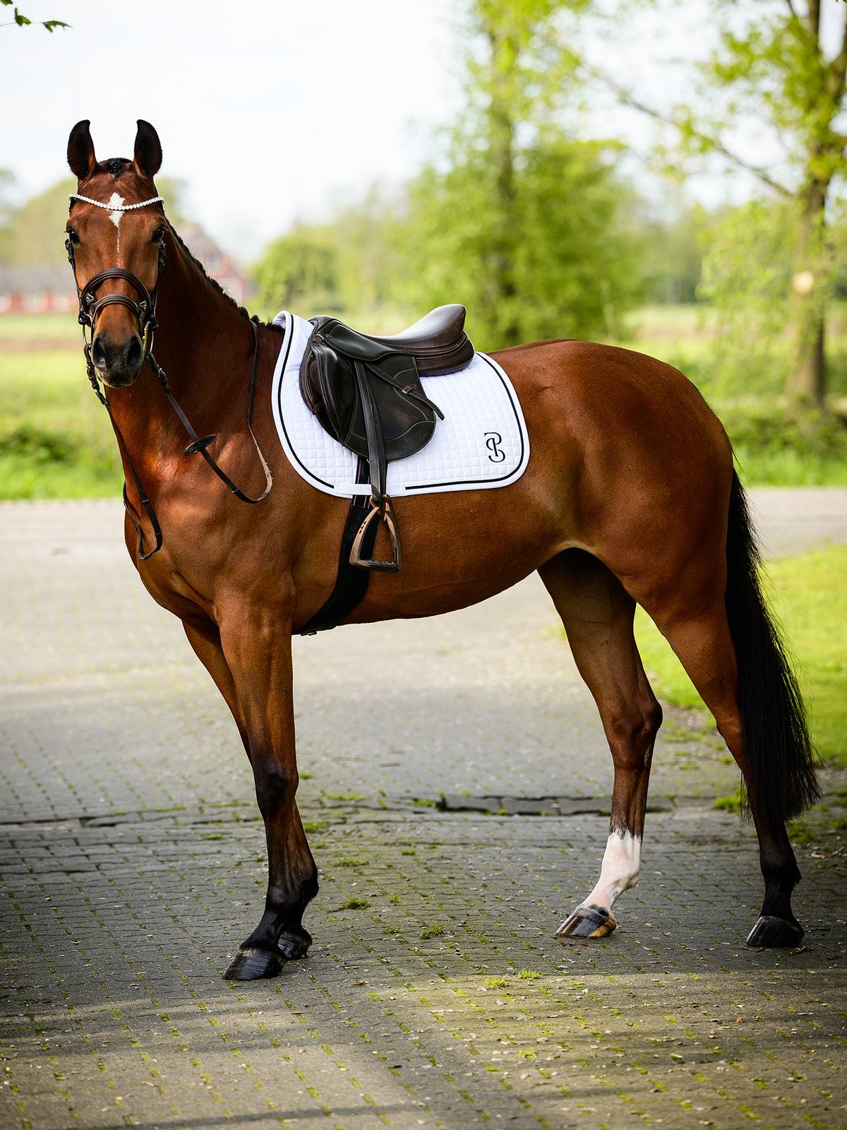 Saddle Pad Jump Elite White
