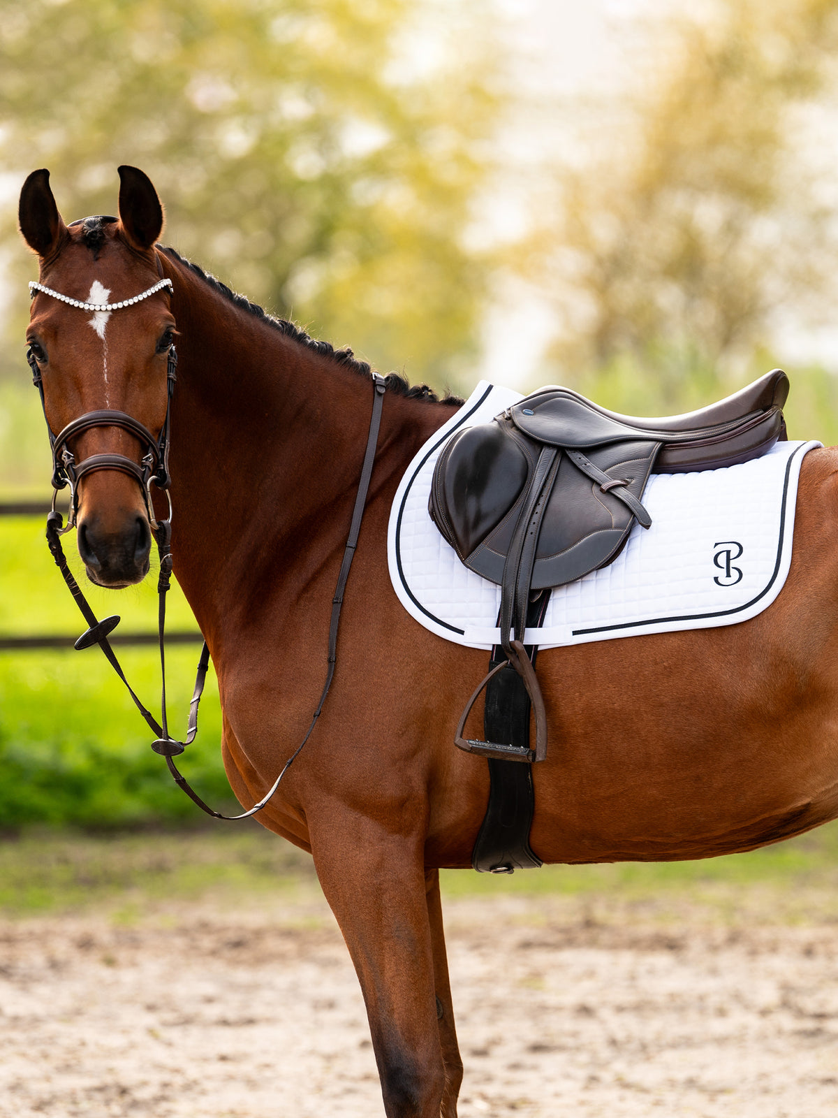 Saddle Pad Jump Elite White