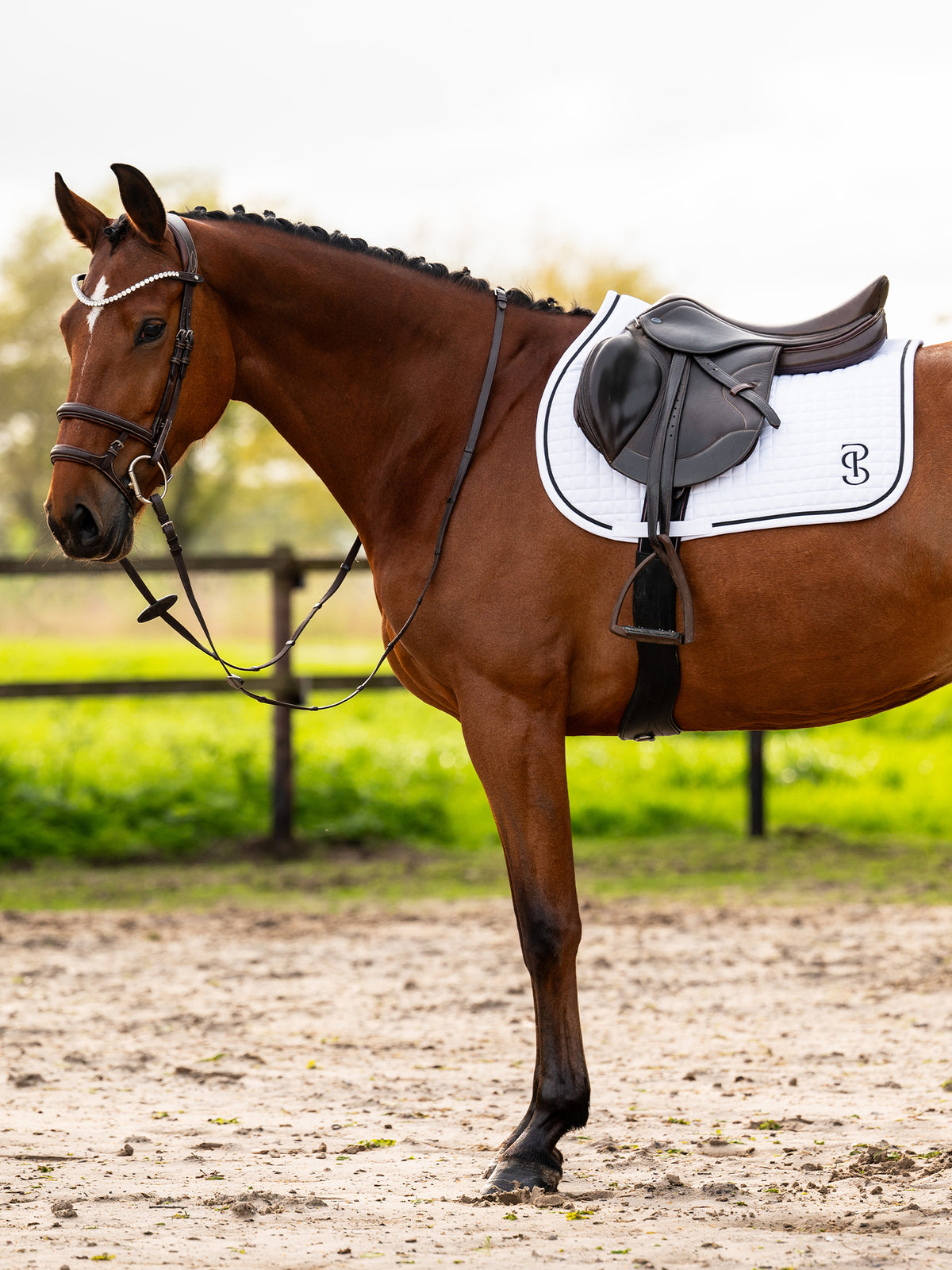 Saddle Pad Jump Elite White