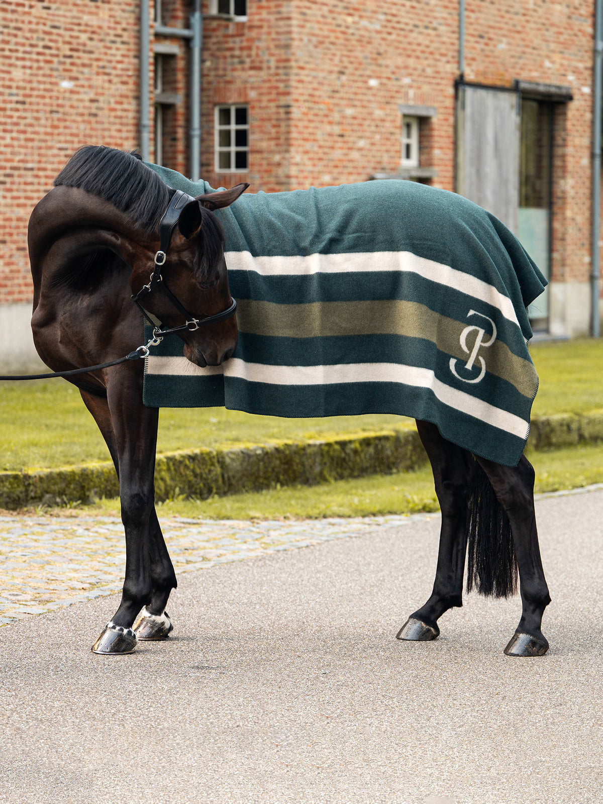 Striped Wool Blanket Midnight green