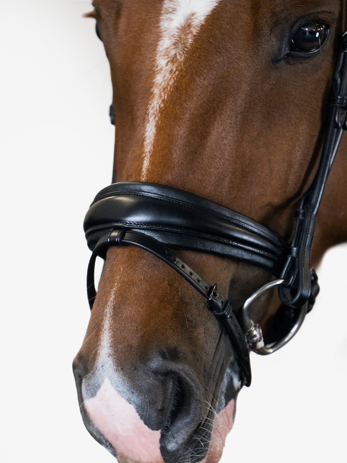 Bridle GP Black Black | Black
