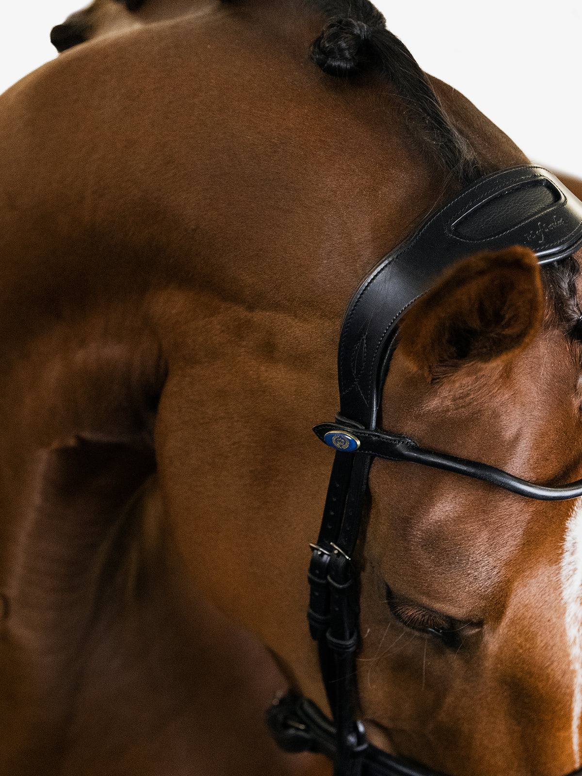 Bridle GP Black Black | Black