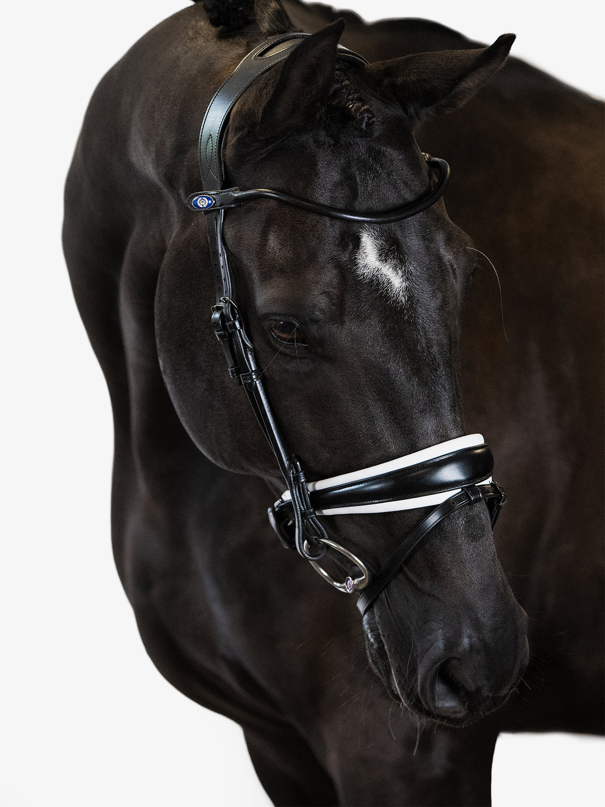 Bridle GP Black Black | White