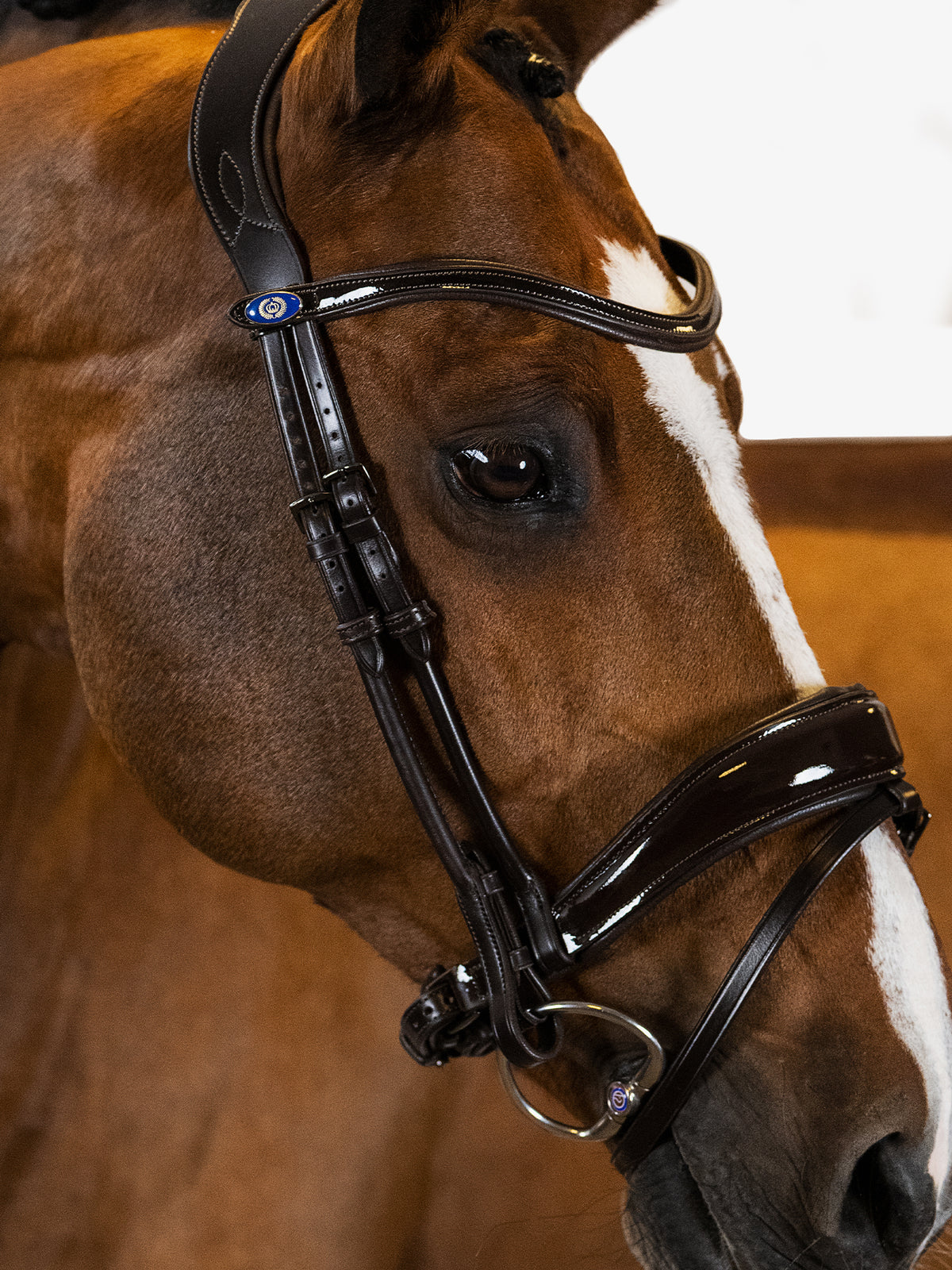 Bridle Flying Change Deluxe Black Leather