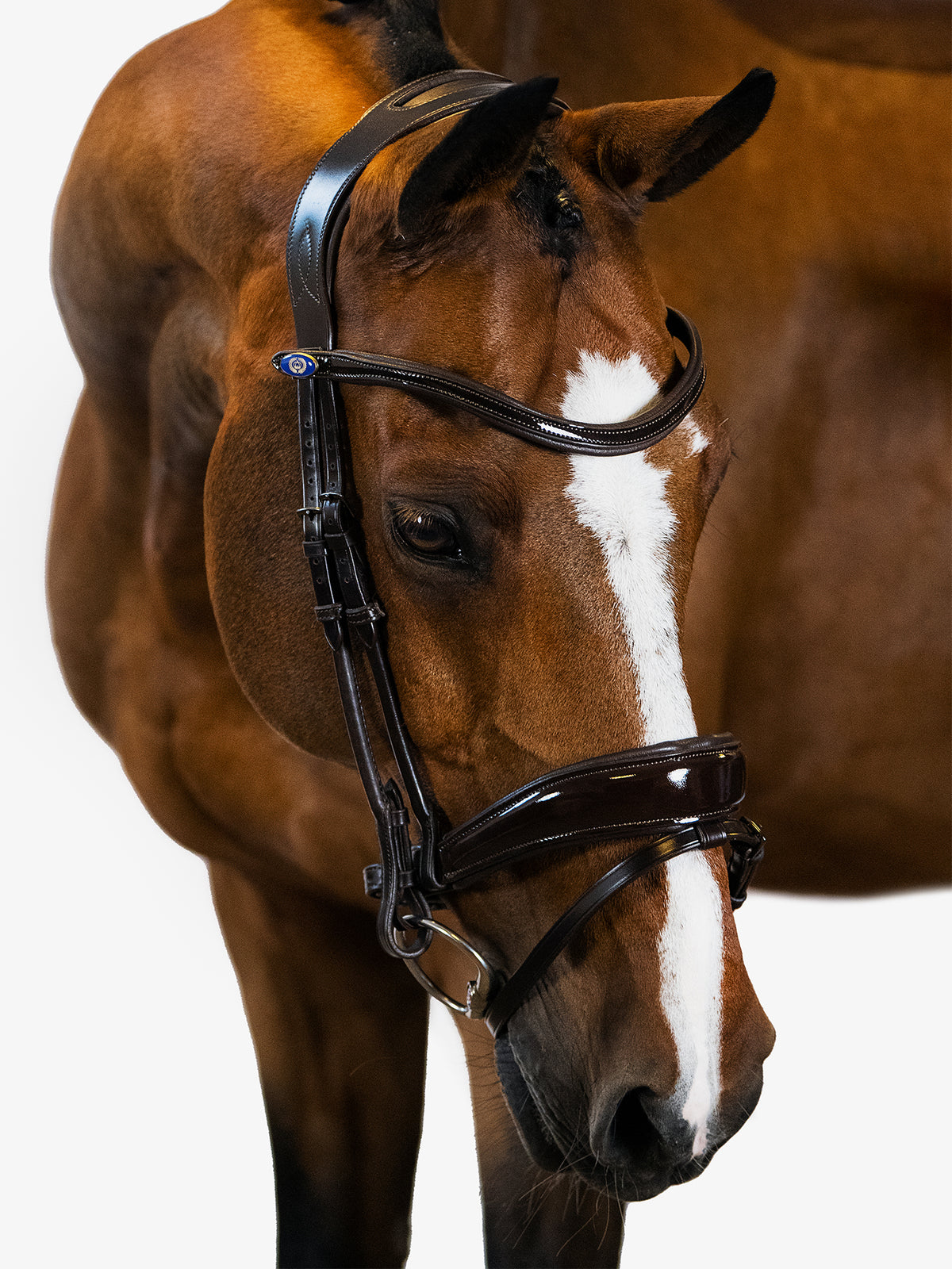 Bridle Flying Change Deluxe Black Leather