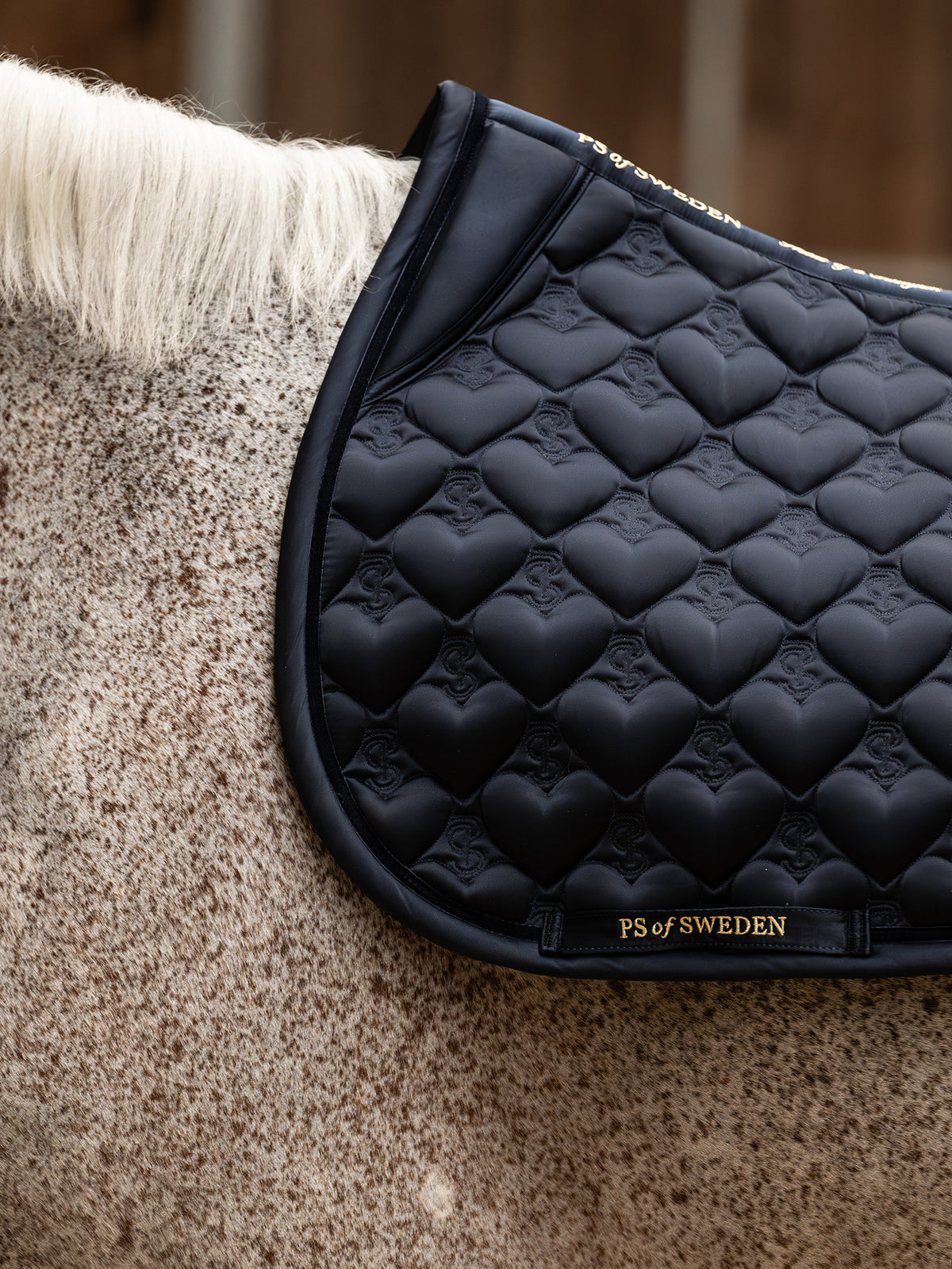 Saddle Pad Heart Jump Navy